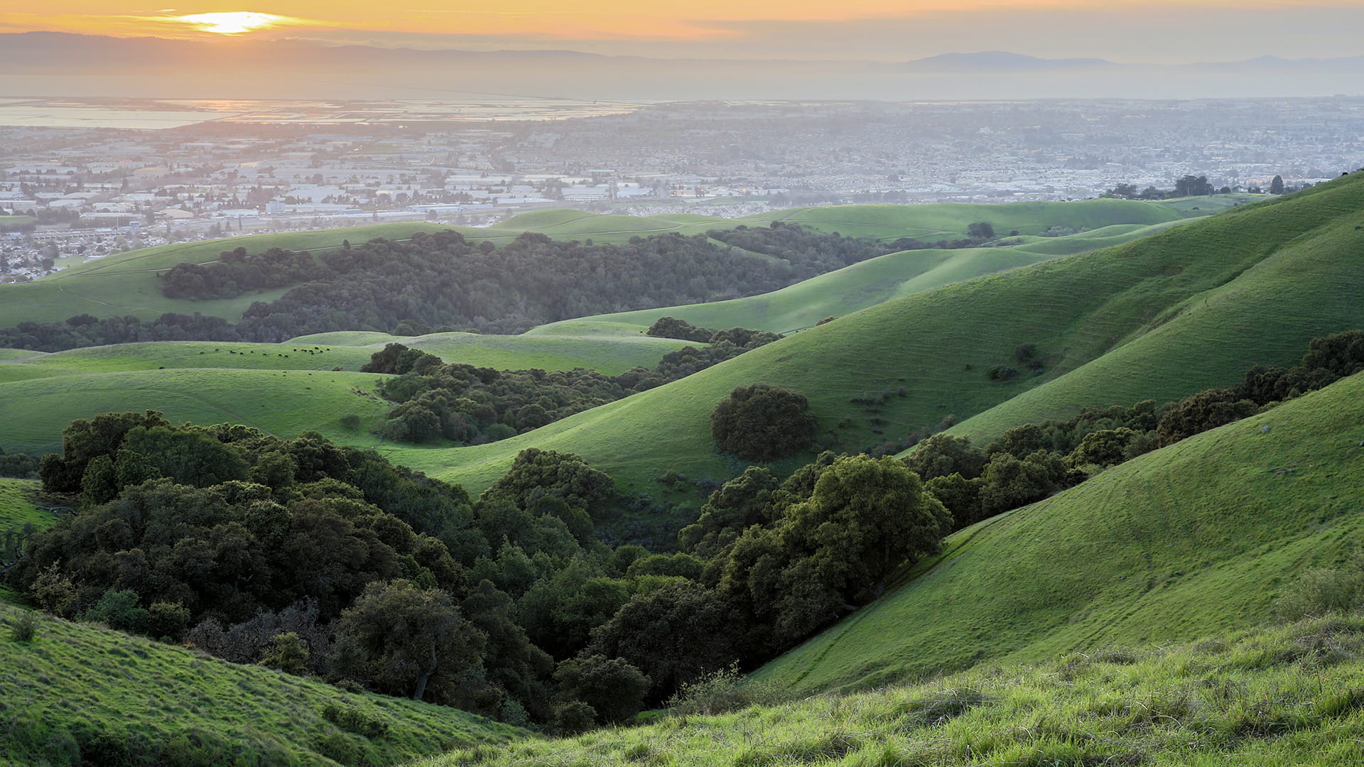 Garin-Dry Creek Pioneer Regional Parks
