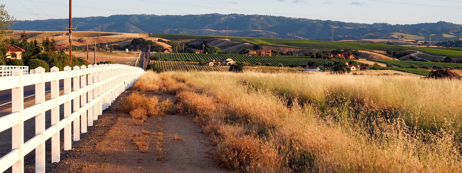 Livermore wineries near Greenville Road